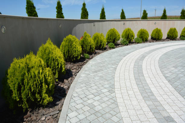 Best Custom Driveway Pavers  in Windsor, CA